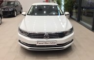 Volkswagen Passat BlueMotion 2018 - Bán ô tô Volkswagen Passat BlueMotion năm 2018 giá 1 tỷ 480 tr tại Khánh Hòa
