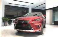 Lexus NX  300  2019 - Bán xe Lexus  NX 300 sản xuất 2019, màu đỏ, nhập khẩu giá 2 tỷ 510 tr tại Hà Nội