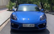 Porsche Cayman 2015 - Bán ô tô Porsche Cayman, màu xanh lam nhập khẩu nguyên chiếc giá 3 tỷ 200 tr tại Tp.HCM