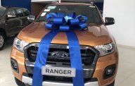 Ford Ranger Wildtrack 2019 - Bán Ford Ranger Wildtrack sản xuất 2019 giá tốt giá 918 triệu tại Tp.HCM