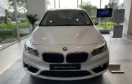 BMW 2 Series 218i Gran Tourer 2019 - Bán xe BMW 2 Series 218i Gran Tourer năm 2019, màu trắng, nhập khẩu nguyên chiếc giá 1 tỷ 578 tr tại Tp.HCM