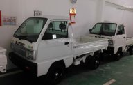 Suzuki Super Carry Truck 2019 - Bán xe tải 500kg giá rẻ tại Thái Bình  giá 249 triệu tại Thái Bình