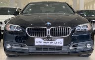 BMW 5 Series 520i 2014 - HCM: BMW 520i, màu đen, sản xuất 2014 giá 1 tỷ 320 tr tại Tp.HCM