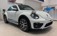 Volkswagen Beetle   2019 - Bán xe Volkswagen Beetle 2019, màu trắng, xe nhập giá 1 tỷ 499 tr tại Tp.HCM