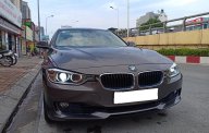 BMW 3 Series 320i 2015 - Bán ô tô BMW 3 Series 320i đời 2015, màu nâu havana, xe nhập, giá tốt giá 970 triệu tại Hà Nội