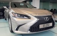 Lexus ES 250   2019 - Bán Lexus ES 250 đời 2019, màu vàng cát, nhập khẩu giá 2 tỷ 499 tr tại Đà Nẵng