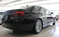BMW 5 Series 520i 2014 - Bán ô tô BMW 5 Series 520i sản xuất năm 2014, màu đen, nhập khẩu giá 1 tỷ 320 tr tại Tp.HCM