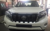 Toyota Prado 2.7 AT 2019 - Toyota Prado 2.7 AT năm sản xuất 2019, màu trắng ngọc trai, xe nhập nhật - giao xe ngay giá 2 tỷ 348 tr tại Tp.HCM