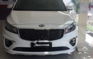 Kia Sedona   2018 - Bán Kia Sedona mẫu 2019, chương trình ưu đãi hấp dẫn giá 1 tỷ 129 tr tại Tiền Giang