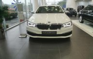 BMW 5 Series 520i 2018 - Bán xe BMW 520i năm 2018, màu trắng, xe nhập giá 2 tỷ 389 tr tại Hà Nội