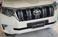 Toyota Prado VX 2.7L 2019 - Bán Toyota Prado VX 2.7L 2019, màu trắng, nhập khẩu nguyên chiếc giá 2 tỷ 340 tr tại Hà Nội