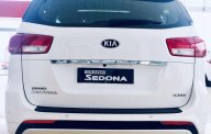 Kia Sedona D 2019 - Bán Sedona Platinum D 2019, mới cùng khuyến mãi siêu hấp dẫn giá 1 tỷ 29 tr tại Quảng Ninh