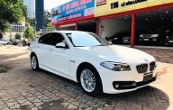 BMW 5 Series 520i 2014 - Bán ô tô BMW 5 Series 520i sản xuất năm 2014, màu trắng, xe nhập giá 1 tỷ 360 tr tại Hà Nội