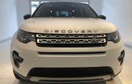LandRover 2019 - ‎0918.842.662 bán LandRover Discovery Sport 2019 xe7 chỗ: Xám, trắng, đen, đỏ, xanh nhập khẩu Anh giá 2 tỷ 789 tr tại Bình Dương