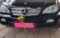 Mercedes-Benz ML Class   ML 320   2002 - Bán Mercedes ML 320 năm sản xuất 2002, màu đen, nhập khẩu số tự động giá 280 triệu tại Cần Thơ