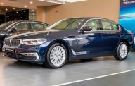 BMW 5 Series  530i  2019 - Bán BMW 5 Series 530i sản xuất 2019, màu xanh lam, nhập khẩu   giá 3 tỷ 69 tr tại Tp.HCM