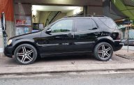 Mercedes-Benz ML Class 320 2002 - Bán xe Mercedes ML 320 năm 2002, xe nhập chính chủ, 315tr giá 315 triệu tại Cần Thơ