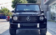 Mercedes-Benz G class 2019 - Bán Mercedes G63 AMG 2019 giao ngay toàn quốc, giá tốt  giá 12 tỷ 500 tr tại Hà Nội