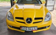 Mercedes-Benz SLK class  SLK350   2008 - Bán Mercedes SLK350 2008, màu vàng, nhập khẩu giá 860 triệu tại Tp.HCM