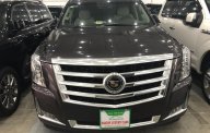 Cadillac Escalade 2014 - Bán xe Cadillac Escalade đời 2015, xe nhập giá 4 tỷ 700 tr tại Tp.HCM