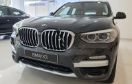 BMW X3   2019 - Bán BMW X3 năm sản xuất 2019, nhập khẩu   giá 2 tỷ 705 tr tại Đà Nẵng