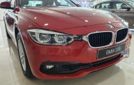 BMW 3 Series 320i 2019 - Bán BMW 3 Series 320i đời 2019, màu đỏ, xe nhập giá 1 tỷ 355 tr tại Đà Nẵng