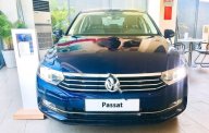 Volkswagen Passat 1.8 TSI 2018 - Bán Volkswagen Passat 1.8 TSI đời 2018, màu xanh lam, xe nhập giá 1 tỷ 480 tr tại Khánh Hòa