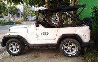 Jeep CJ 2005 - Cần bán lại xe Jeep CJ năm 2005, hai màu giá 100 triệu tại Bình Dương
