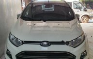 Ford EcoSport Titanium 2016 - Chính chủ bán Ford EcoSport Titanium đời 2016, màu trắng, nhập khẩu giá 510 triệu tại Hưng Yên