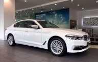 BMW 5 Series 2019 - Bán xe BMW 520i sản xuất năm 2019, màu trắng giá 2 tỷ 159 tr tại Tp.HCM