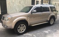 Ford Everest   MT 2015 - Cần bán xe Ford Everest MT sản xuất 2015 giá 620 triệu tại Tp.HCM