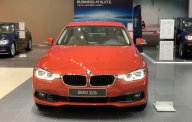 BMW 3 Series   2019 - Bán xe BMW 320i 2019, xe nhập, giá tốt giá 1 tỷ 319 tr tại Tp.HCM