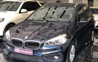 BMW 2 Series 2016 - Cần bán lại xe BMW 2 Series đời 2016, màu xanh lam, nhập khẩu chính hãng giá 999 triệu tại Hà Nội
