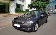 BMW 5 Series 2012 - Bán BMW 5 Series 520i năm sản xuất 2012, màu nâu, xe nhập số tự động, giá 989tr giá 989 triệu tại Hà Nội