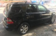 Mercedes-Benz ML Class 2004 - Bán Mercedes ML400 đời 2004, màu đen, nhập khẩu, số tự động giá 358 triệu tại Tp.HCM