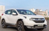 Honda CR V    2020 - Bán xe Honda CR V 2020, màu trắng, nhập khẩu giá 1 tỷ 93 tr tại BR-Vũng Tàu