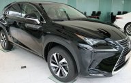 Lexus NX 300 2020 - Bán xe hạng sang - Chính hãng 100%: Lexus NX 300 sản xuất 2020, màu đen giá 2 tỷ 560 tr tại Hà Nội