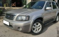 Ford Escape  XLT  2008 - Bán Ford Escape XLT sản xuất 2008 đẹp như mới giá 257 triệu tại Tp.HCM