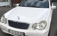 Mercedes-Benz C class 2004 - Cần bán gấp Mercedes C240 sản xuất năm 2004, màu trắng, 256tr giá 256 triệu tại Tp.HCM