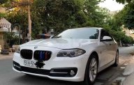 BMW 5 Series 2014 - Bán ô tô BMW 5 Series đời 2014, màu trắng giá 1 tỷ 100 tr tại Tp.HCM