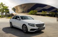 Mercedes-Benz E class 2020 - Bán xe với giá thấp với chiếc Mercedes-Benz E200 Exclusive, sản xuất 2020, giao nhanh giá 2 tỷ 290 tr tại Tp.HCM