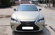 Lexus ES 250 2020 - Cần bán xe Lexus ES 250 đời2020, màu xám, nhập khẩu nguyên chiếc giá 2 tỷ 500 tr tại Tp.HCM