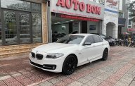 BMW 5 Series 2016 - Cần bán lại xe BMW 5 Series 520i sản xuất 2016, màu trắng, nhập khẩu nguyên chiếc giá 1 tỷ 499 tr tại Hà Nội