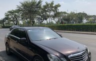 Mercedes-Benz E class 2009 - Bán Mercedes E class sản xuất năm 2009 giá 630 triệu tại Tp.HCM