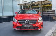 Mercedes-Benz CL class 2019 - Bán Mercedes CL class sản xuất 2019, nhập khẩu giá 1 tỷ 480 tr tại Tp.HCM