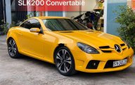 Mercedes-Benz SLK class   2007 - Cần bán gấp Mercedes SLK class năm sản xuất 2007, nhập khẩu nguyên chiếc giá 720 triệu tại Tp.HCM