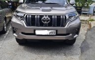 Toyota Prado 2020 - Cần bán Toyota Prado năm sản xuất 2020, màu xám, xe nhập  giá 2 tỷ 289 tr tại Hà Nội