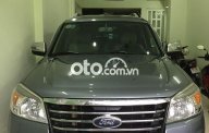 Ford Everest Limited 2009 - Xe Ford Everest Limited 2009, màu xám còn mới giá 380 triệu tại Tp.HCM