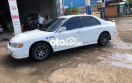 Honda Accord 1995 - Cần bán lại xe Honda Accord năm 1995, màu trắng, xe nhập còn mới, giá tốt giá 105 triệu tại Gia Lai