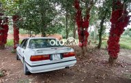 Honda Accord 1988 - Bán Honda Accord năm 1988, màu trắng giá cạnh tranh giá 43 triệu tại Gia Lai